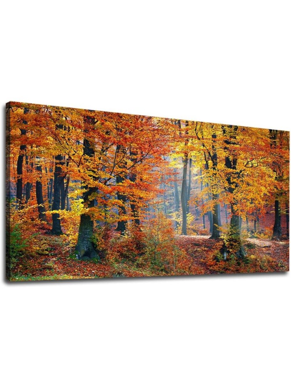 Autumn Forest Wall Art - Panoramic Red Trees Landscape Decor, 24x48 Inches